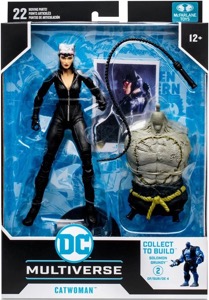 DC Multiverse Catwoman
