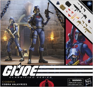 G.I. Joe 6" Classified Series Valkyries