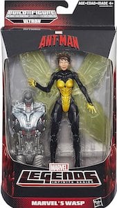 Wasp