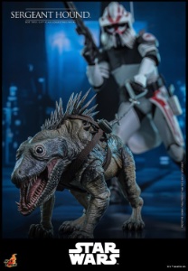 Star Wars Hot Toys Star Wars Sergeant Hound